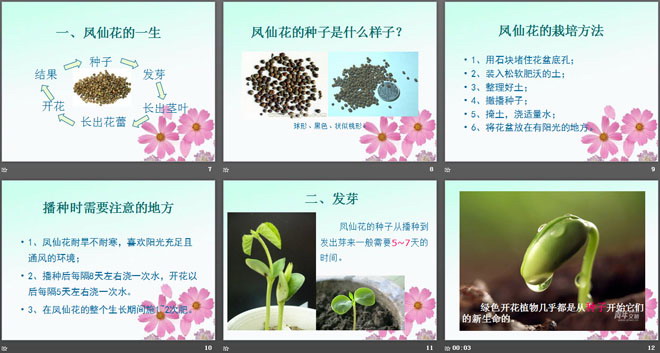 《播种发芽》PPT课件2