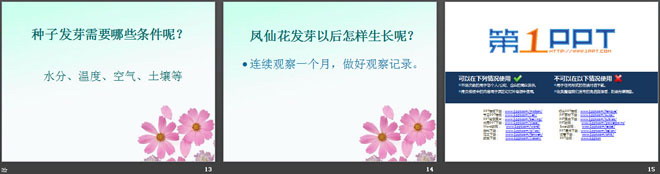 《播种发芽》PPT课件2