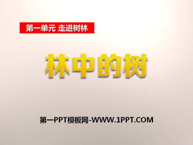 《林中的树》走进树林PPT课件3