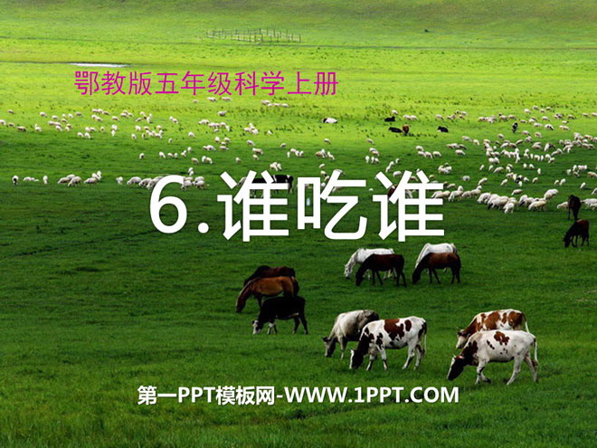 《谁吃谁》走进树林PPT课件2