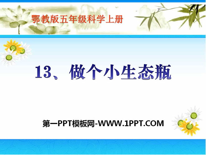 《做个小生态瓶》池塘群落PPT课件