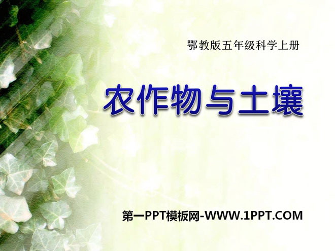 《农作物与土壤》农田PPT课件