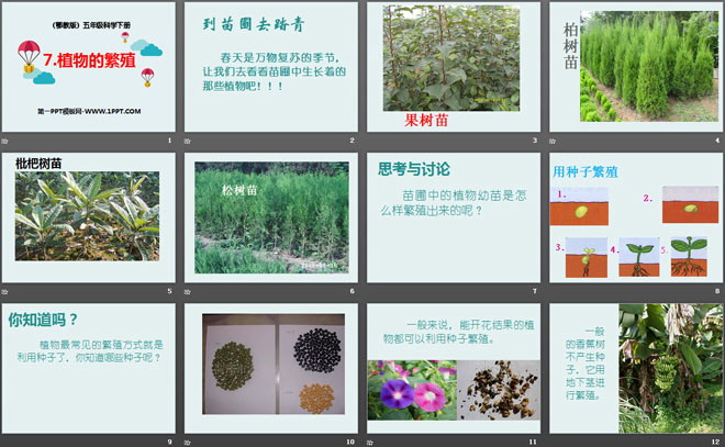 《植物的繁殖》PPT课件