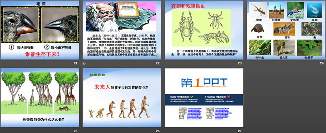 《谁能生存下来》PPT课件