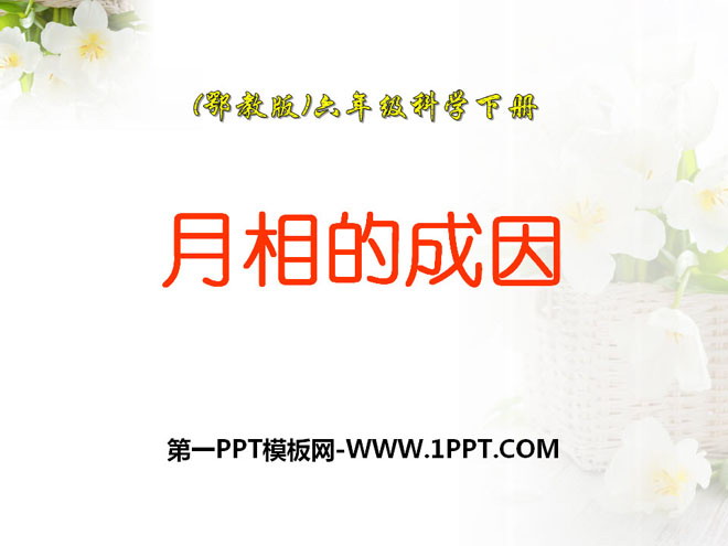 《月相的成因》PPT课件