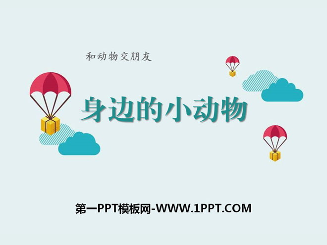 《身边的动物》和动物交朋友PPT课件2