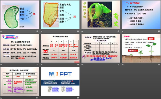 《是什么在影响植物生长》植物的生长PPT课件2