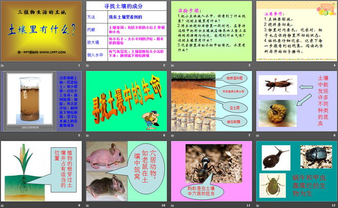 《土壤里有什么》植物生活的土地PPT课件