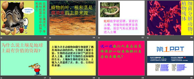 《土壤里有什么》植物生活的土地PPT课件
