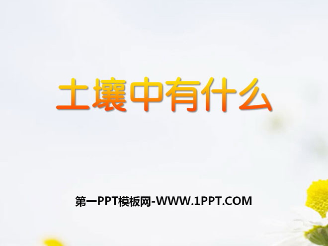 《土壤里有什么》植物生活的土地PPT课件4