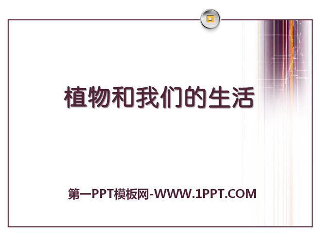 《植物和我们的生活》植物和我们PPT课件3