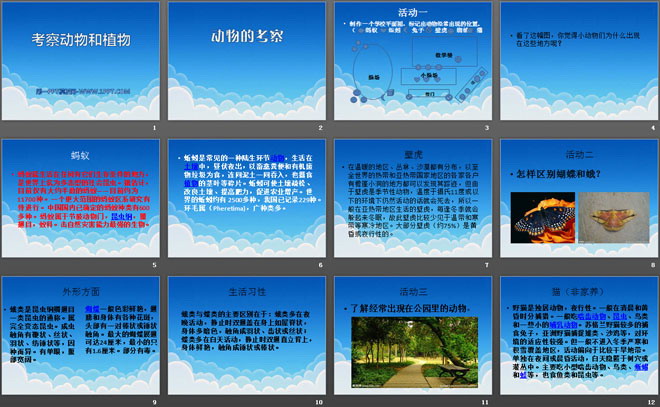 《考察动物和植物》认识更多的生物PPT课件
