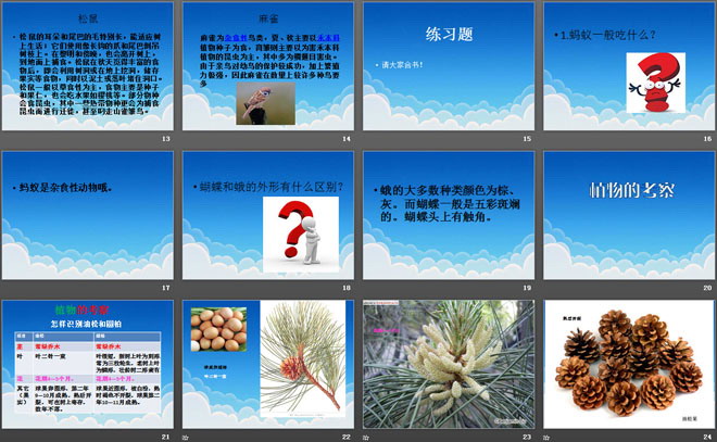 《考察动物和植物》认识更多的生物PPT课件