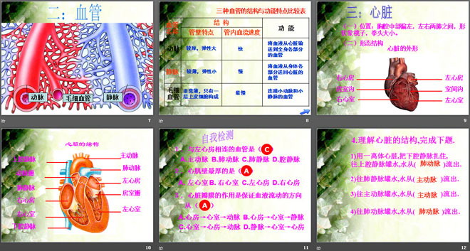 《血液在人体内的循环》人体的奥秘PPT课件