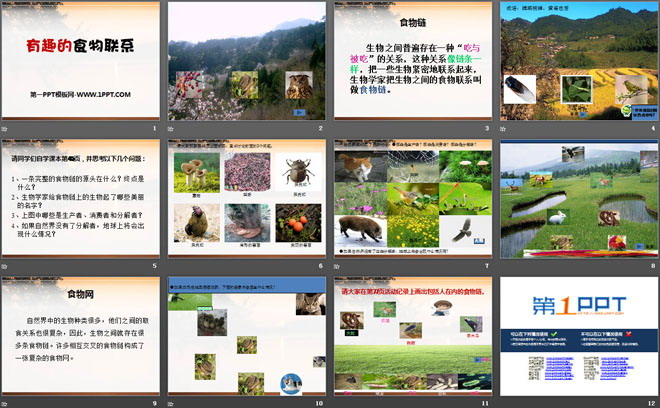 《有趣的食物联系》生物与环境PPT课件2