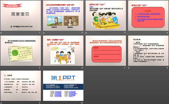 《观察宝贝》走进科学PPT课件