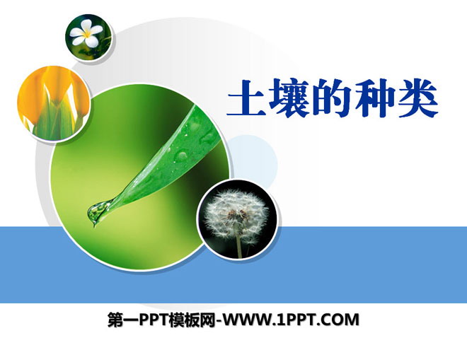 《土壤的种类》土壤PPT课件4