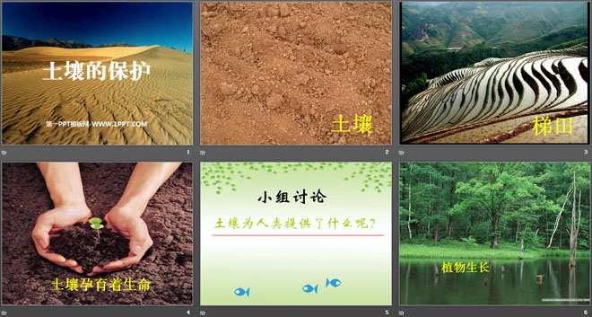 《土壤的保护》土壤PPT课件