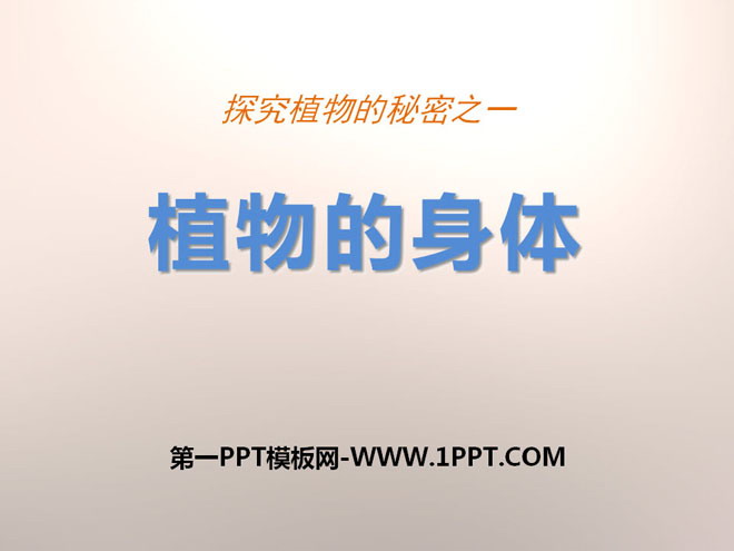 《植物的身体》植物生活的秘密PPT课件