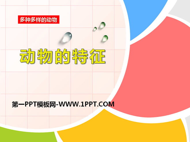 《动物的特征》多种多样的动物PPT课件2