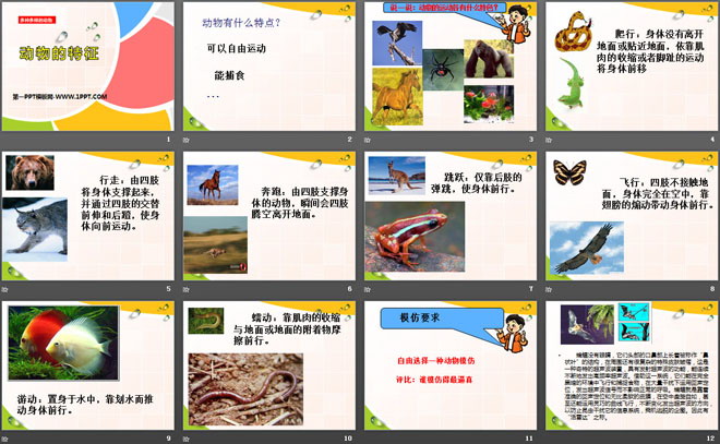 《动物的特征》多种多样的动物PPT课件2