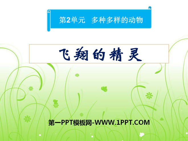 《飞翔的精灵》多种多样的动物PPT课件