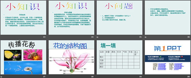 花开花落为哪般PPT下载