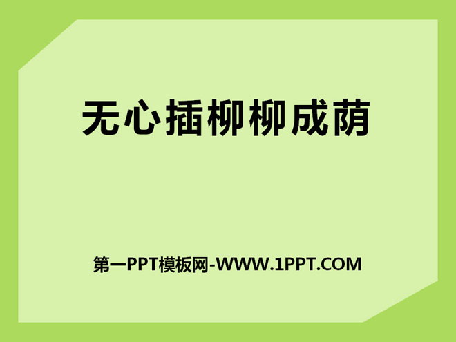 无心插柳柳成荫PPT下载