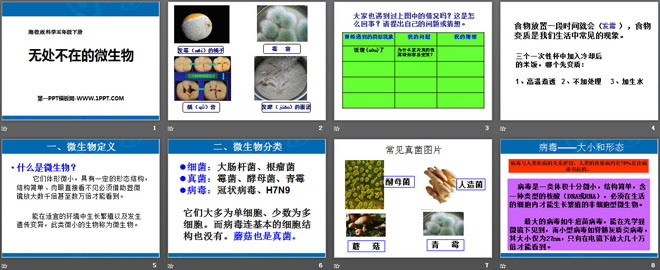 无处不在的微生物PPT