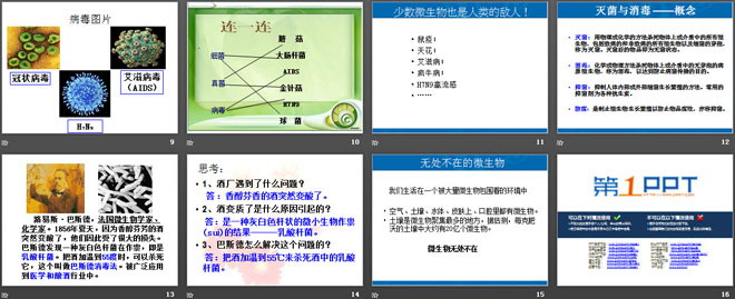 无处不在的微生物PPT