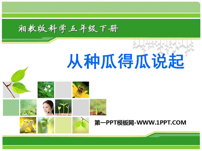 从种瓜得瓜说起PPT下载