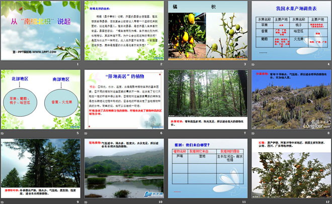 从南橘北枳说起PPT课件