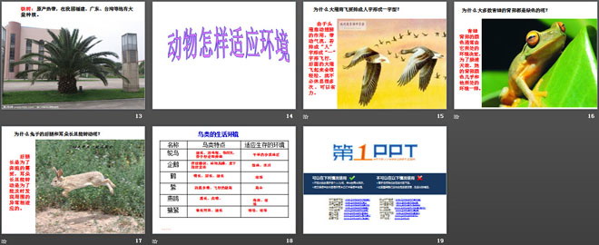 从南橘北枳说起PPT课件