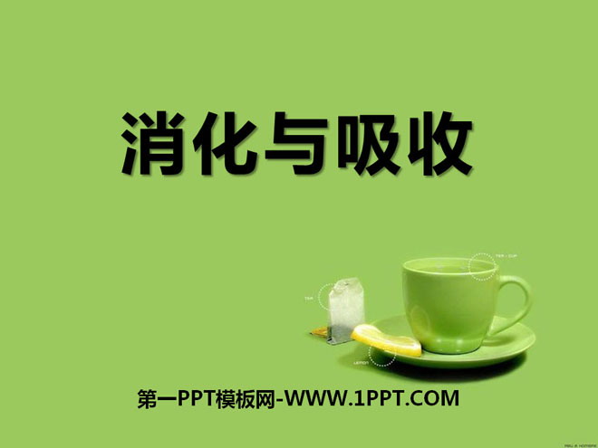 消化与吸收PPT