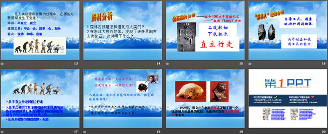 人类的起源PPT课件