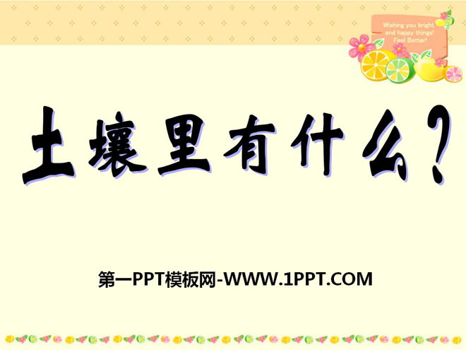 土壤里有什么PPT
