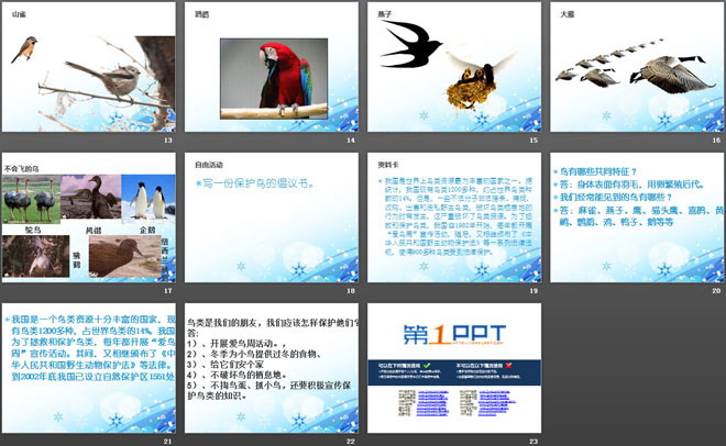 它们都是鸟PPT