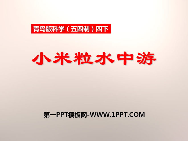 《小米粒水中游》PPT