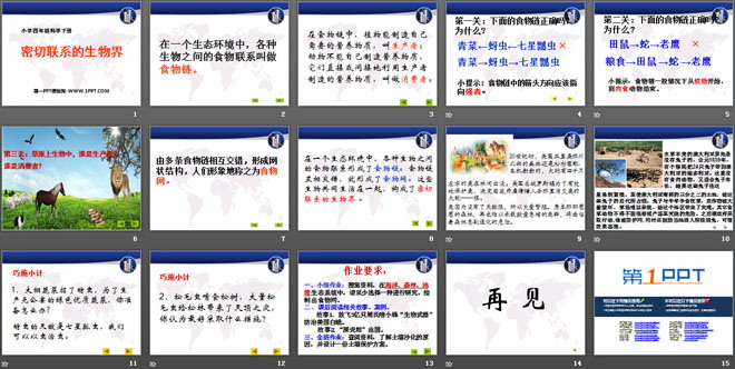 《密切联系的生物界》PPT