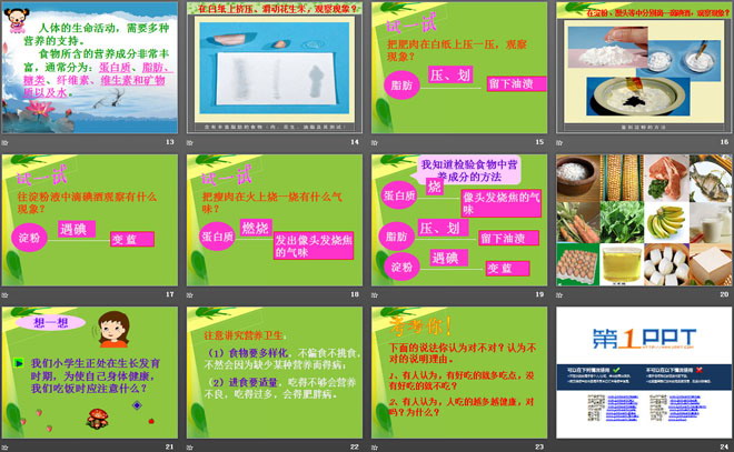 《我们需要的营养》PPT课件