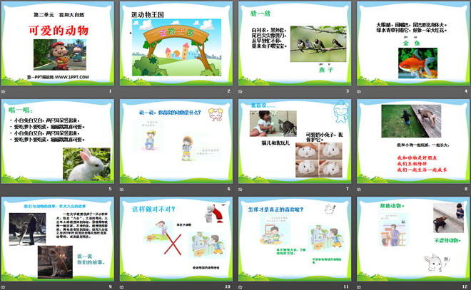 《可爱的动物》PPT