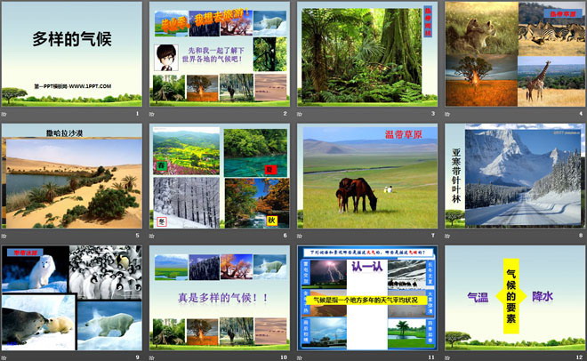 《多样的气候》PPT