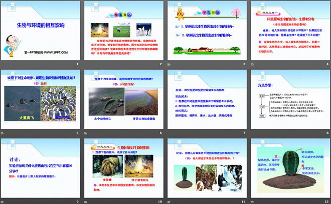 《生物与环境的相互影响》PPT