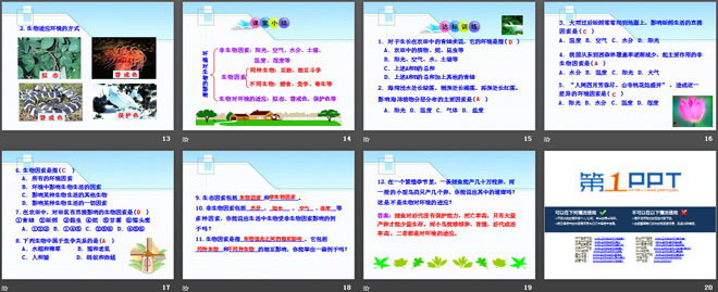 《生物与环境的相互影响》PPT