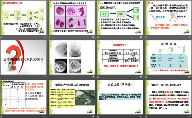 《细胞通过分裂而增殖》PPT