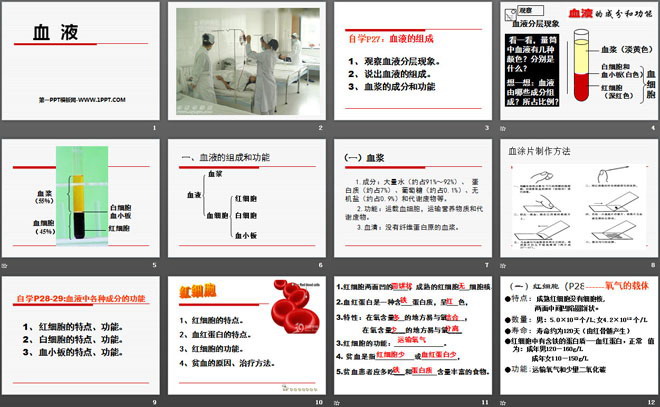 《血液》PPT下载