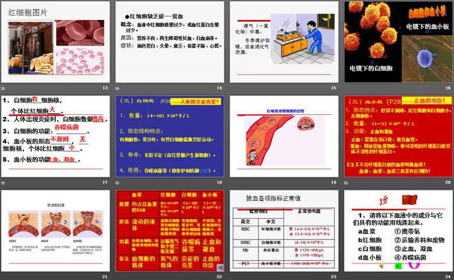 《血液》PPT下载