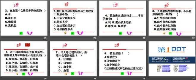 《血液》PPT下载