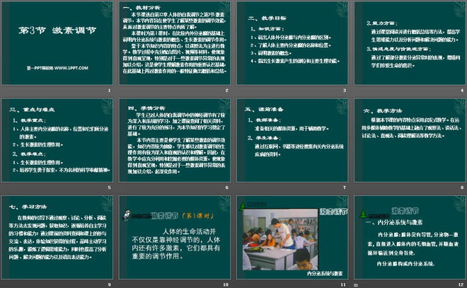 《激素调节》PPT课件