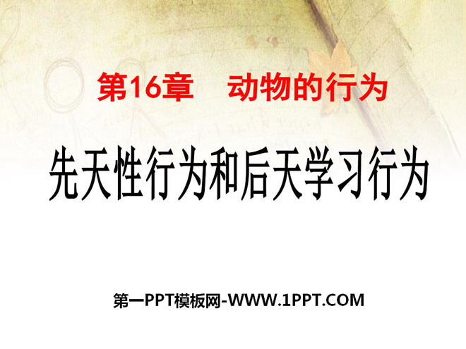 《先天性行为和后天学习行为》PPT